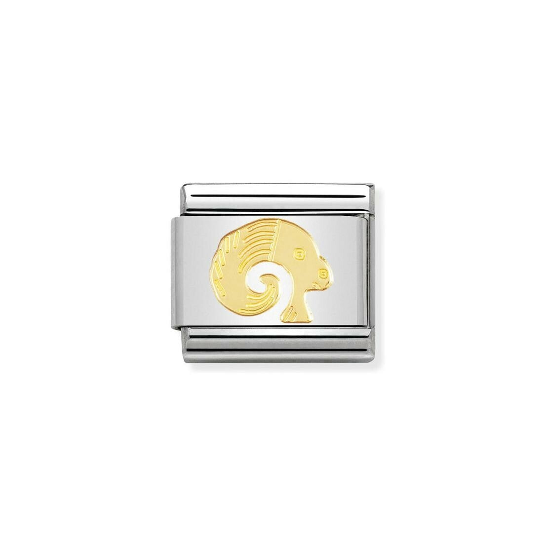 Photo [yvidya_reference:030104%2F01]