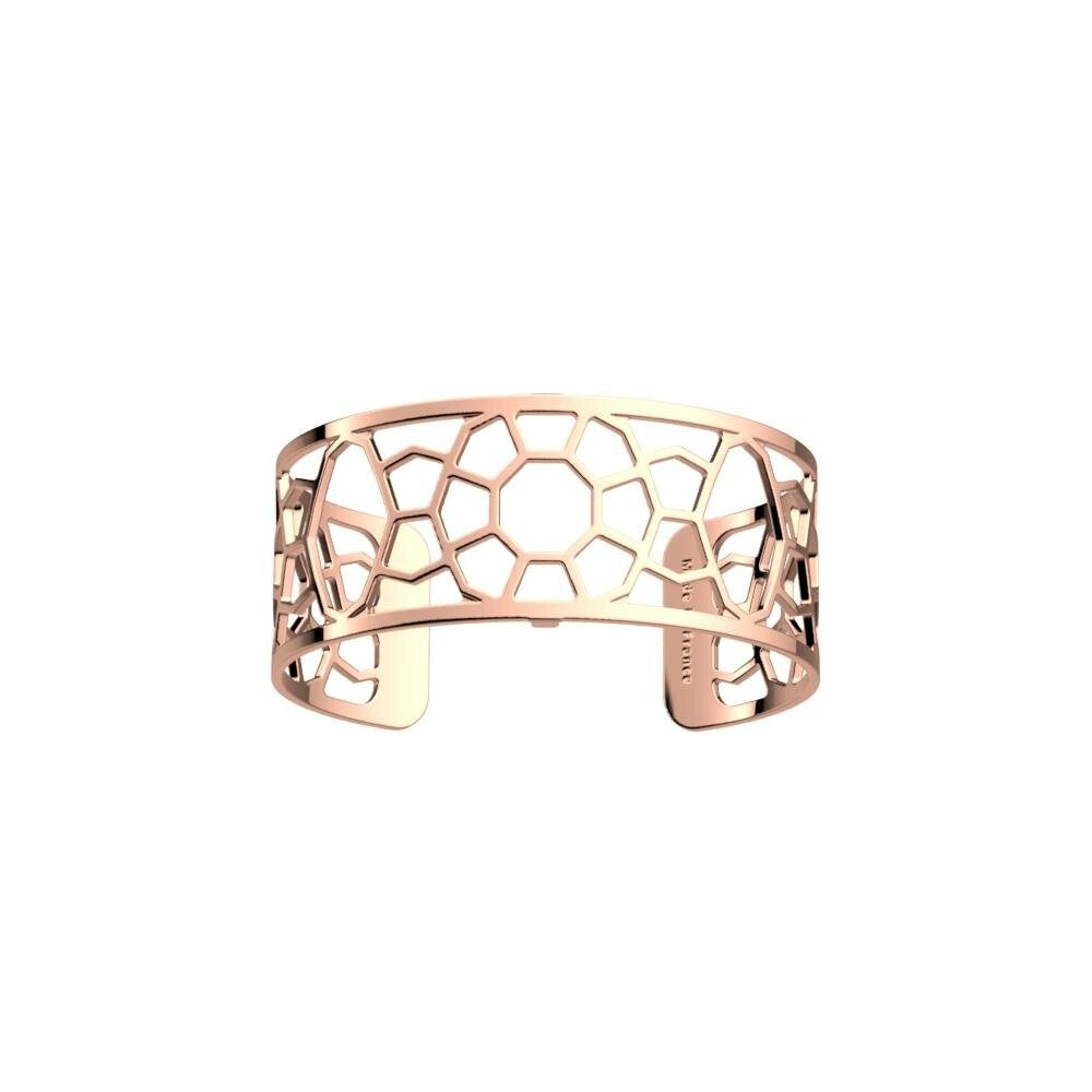 Photo [yvidya_reference:70387344000000]
