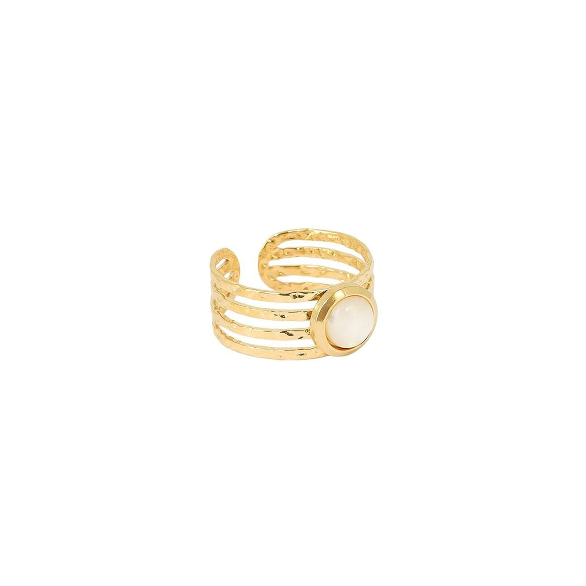 Photo [yvidya_reference:SRM19983-01SEL]