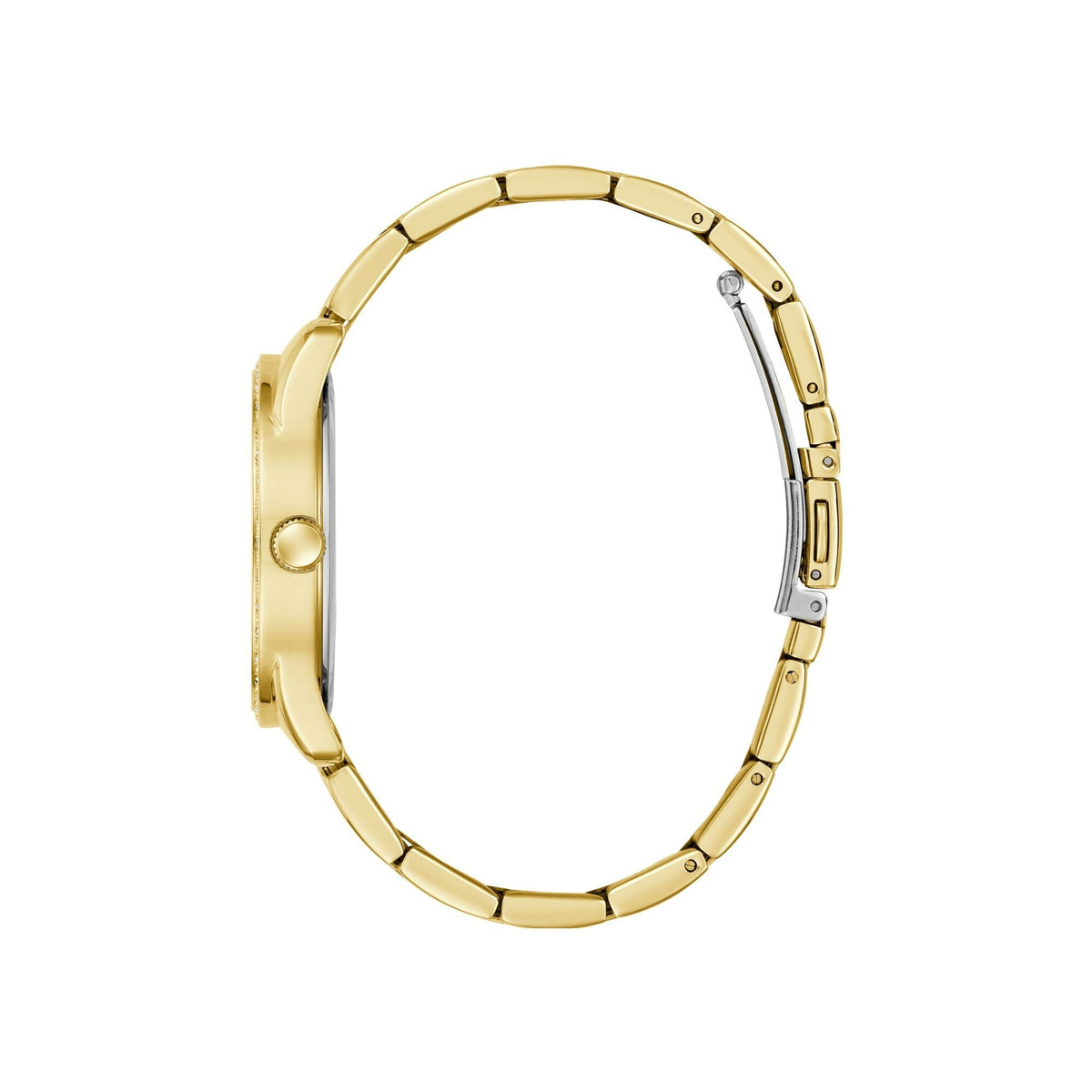Photo [yvidya_reference:GW0987L2]