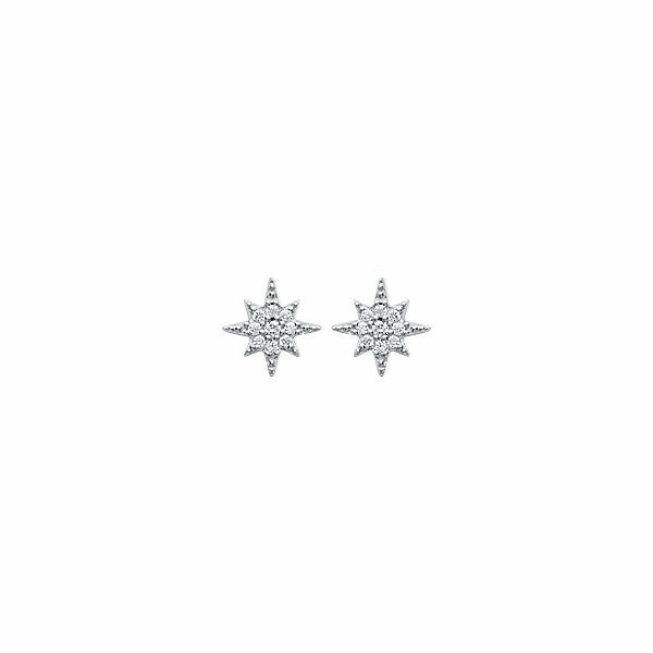 Photo [yvidya_reference:1532810]
