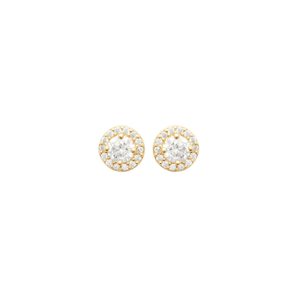 Photo [yvidya_reference:23042210]