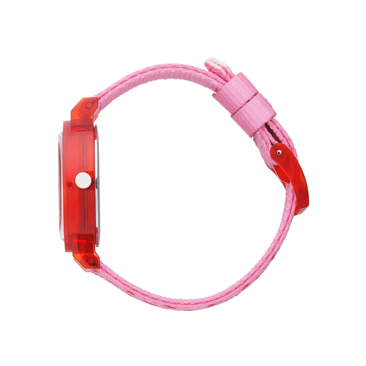 Photo [yvidya_reference:022690]