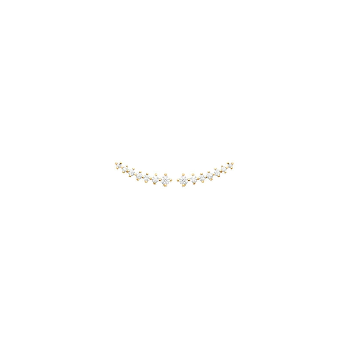 Photo [yvidya_reference:23065210]
