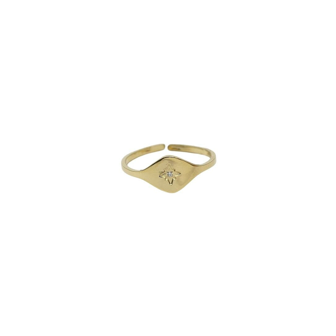 Photo [yvidya_reference:SRR12093-01WHT]