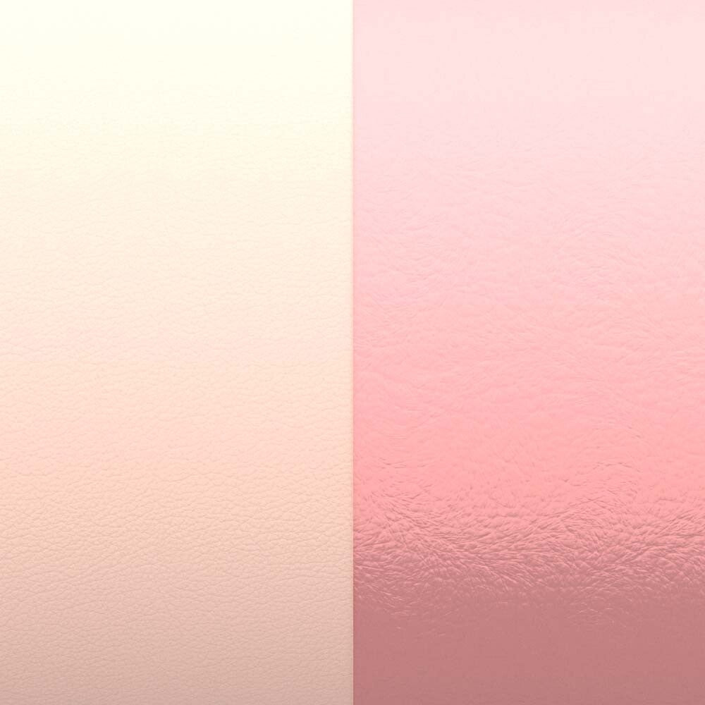 Photo [yvidya_reference:CBB0-CFW-D16]