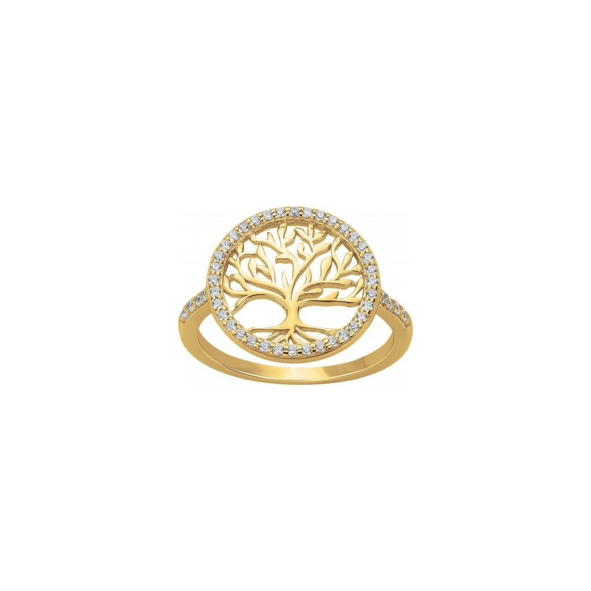 Photo [yvidya_reference:76100349]