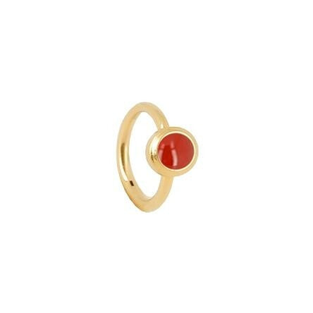 Photo [yvidya_reference:SLA21511-01RED]
